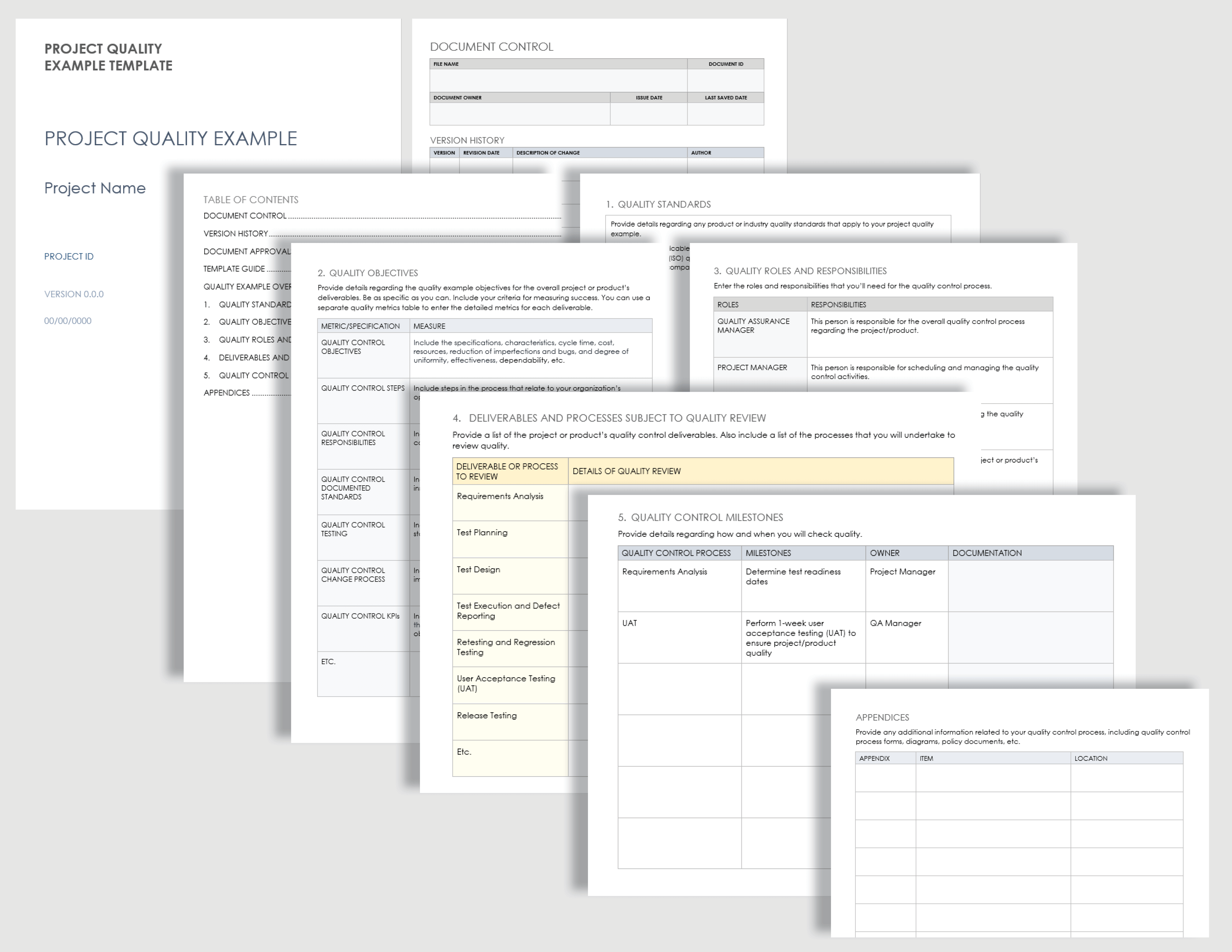 Project Quality Example Template