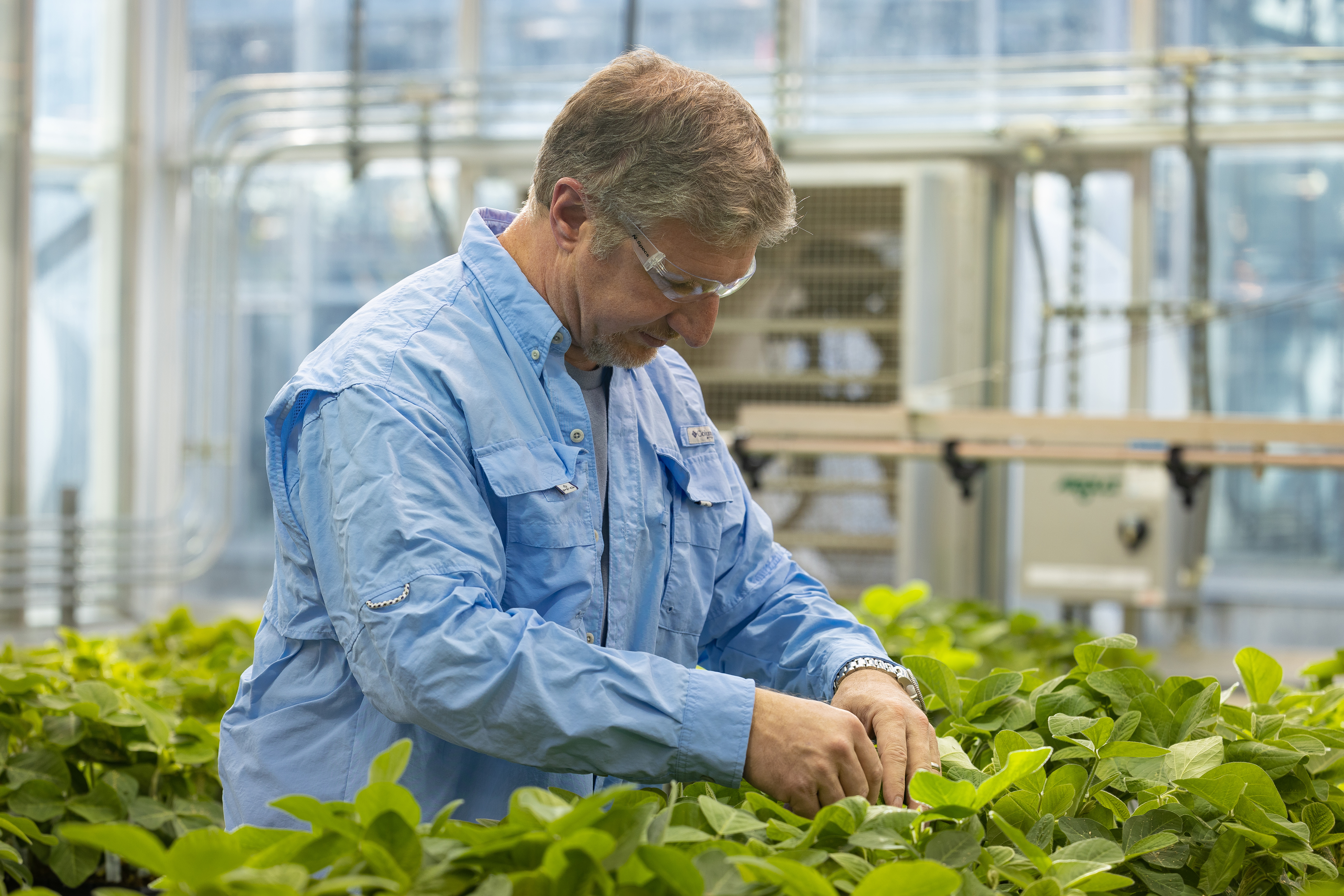 employee-in-a-greenhouse