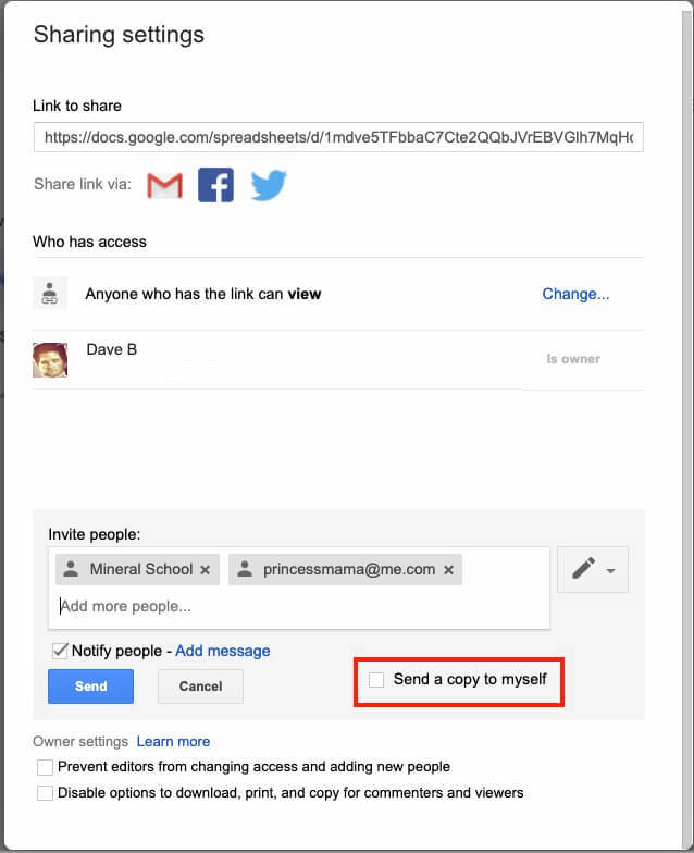 Google Drive Share Email Advanced Options