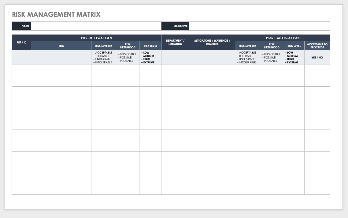 Risk Management Action Plan Template