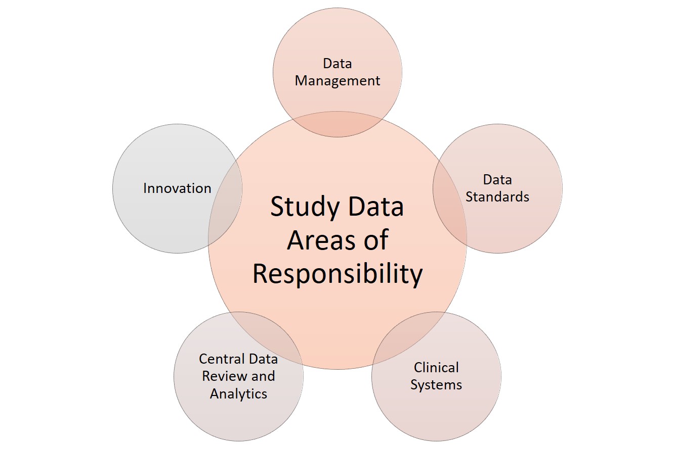 Study Data Areas of Responsibility