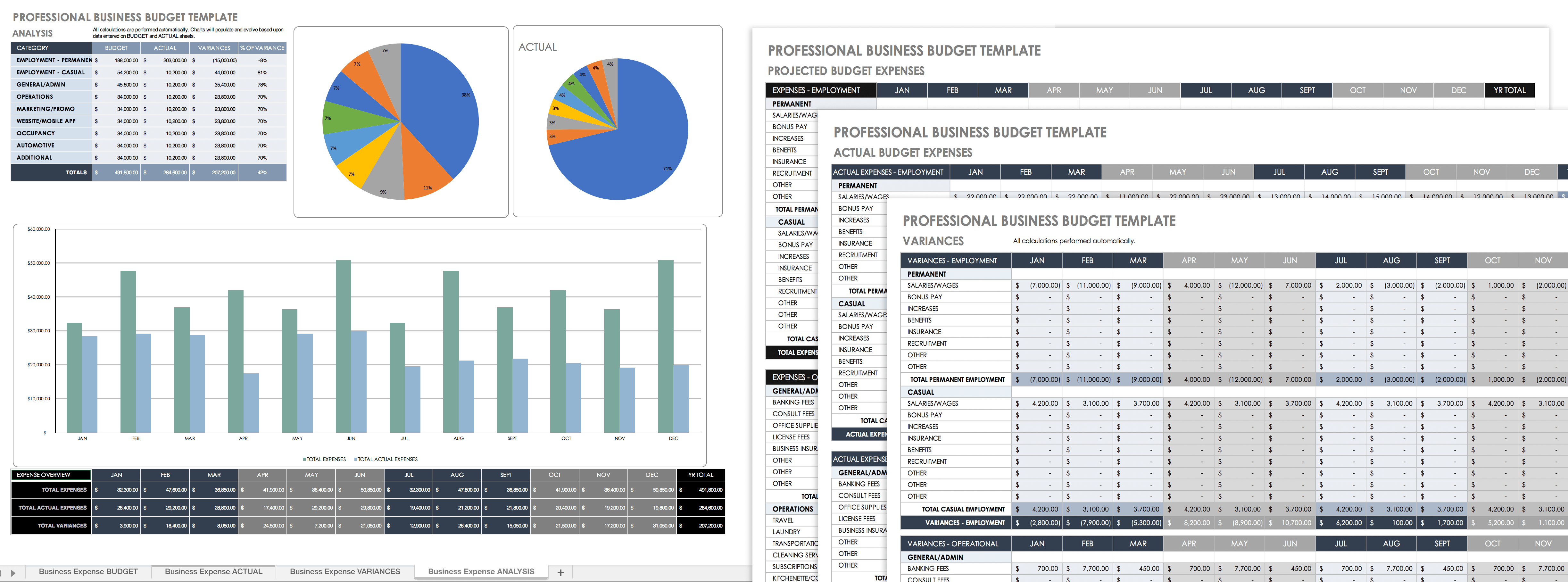 Professional Business Budget Template