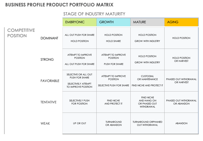 Business Profile Product Portfolio Matrix