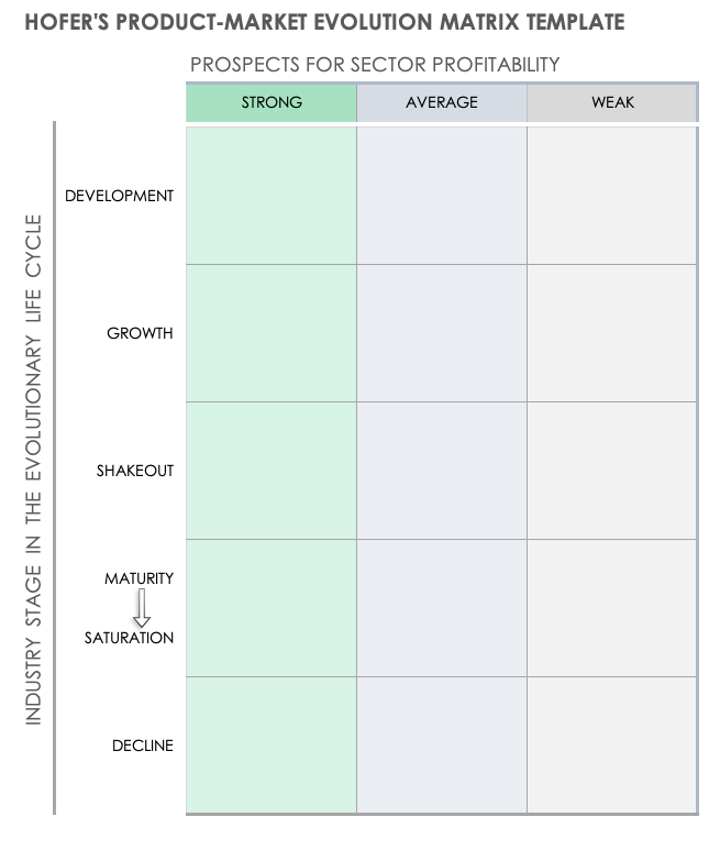 Hofers Product Market Evolution Matrix Template