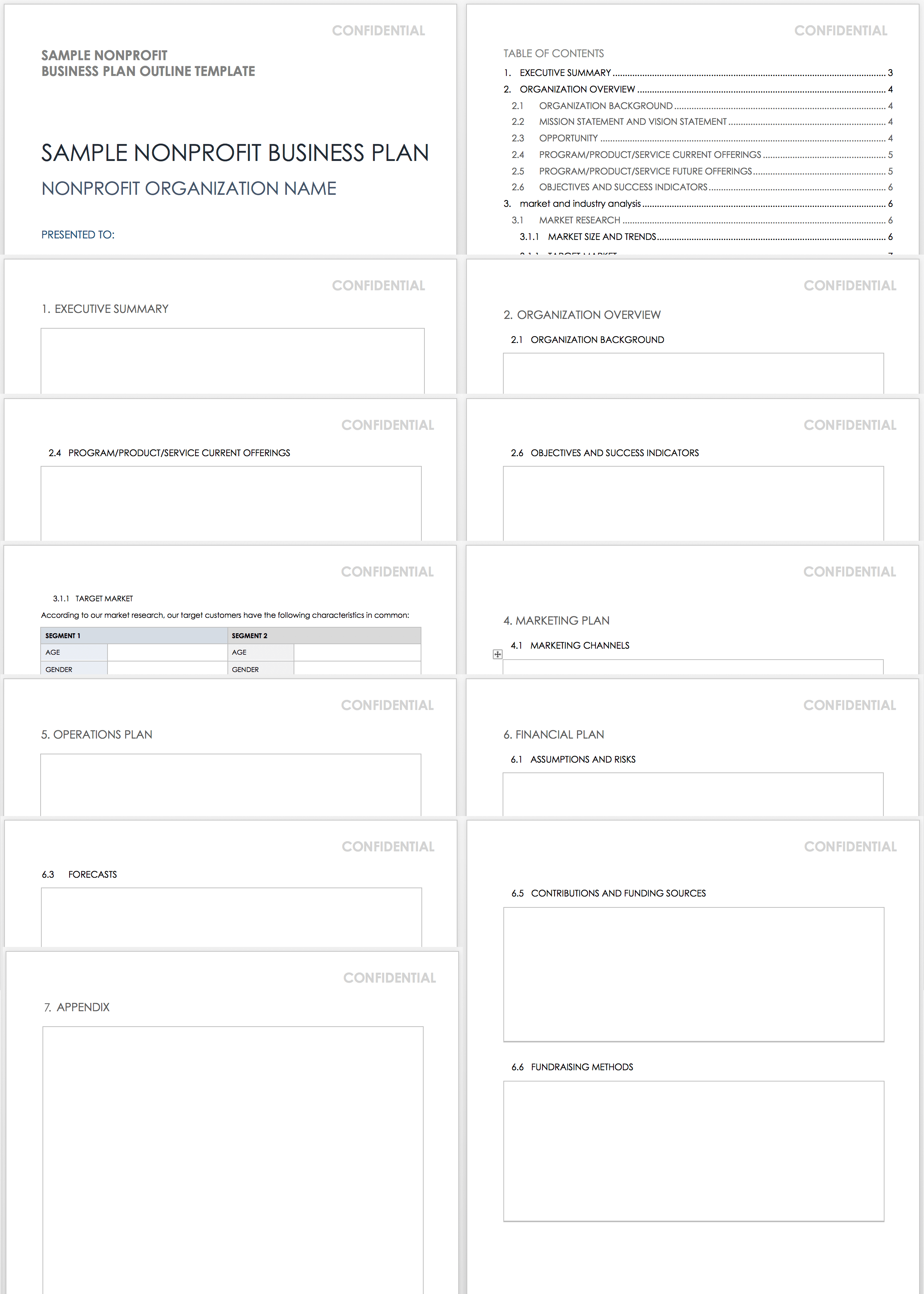 nonprofit finance business plan