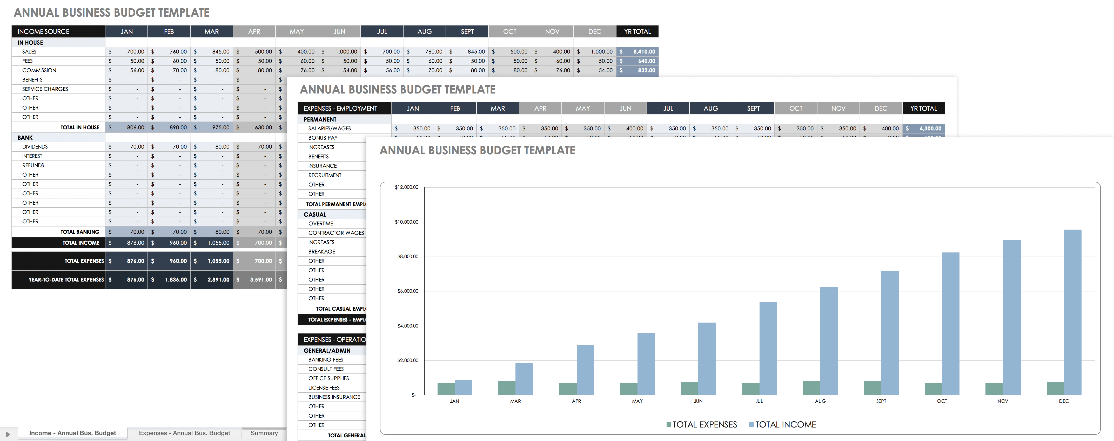 annual business plan and budget