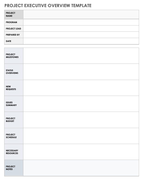 Project Executive Overview Template