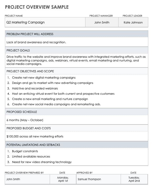 2022 Project Overview Template Fillable Printable Pdf And Forms