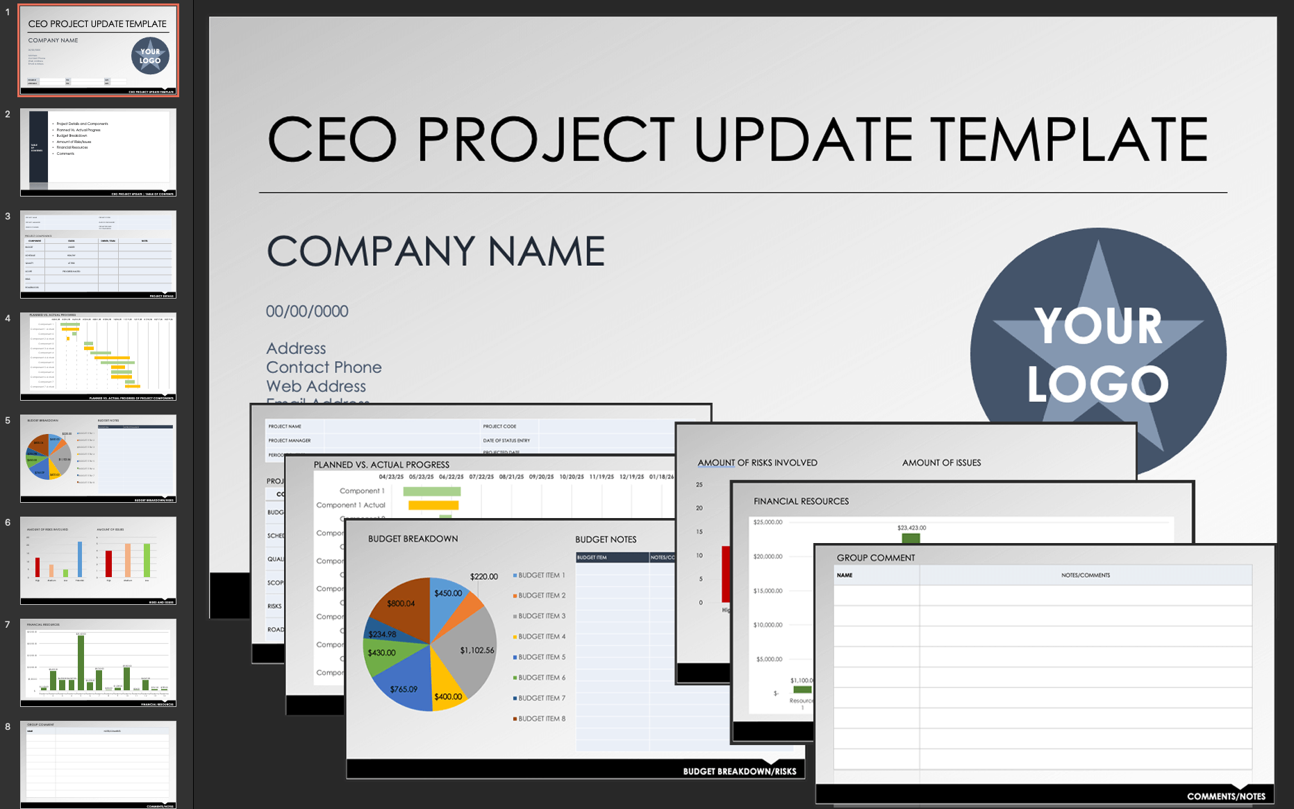 CEO Project Update Template 