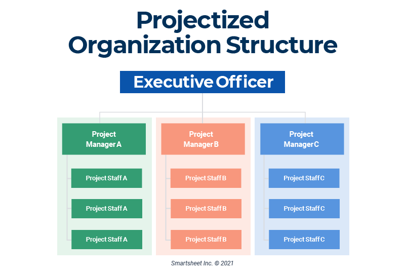 Project-Based Organizational Structure
