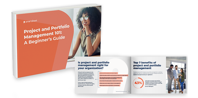 project and portfolio management 101 ebook
