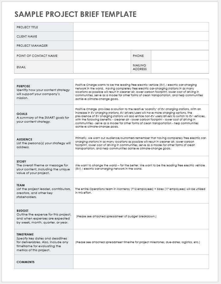 Sample Project Brief Template with copy