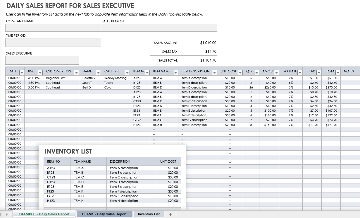 Daily Sales Report for Sales Executive