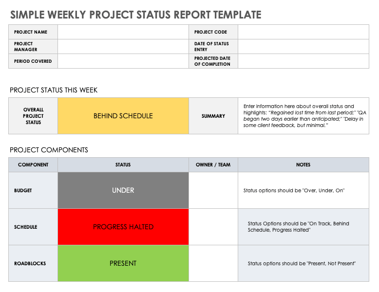Simple Weekly Project Status Report Template