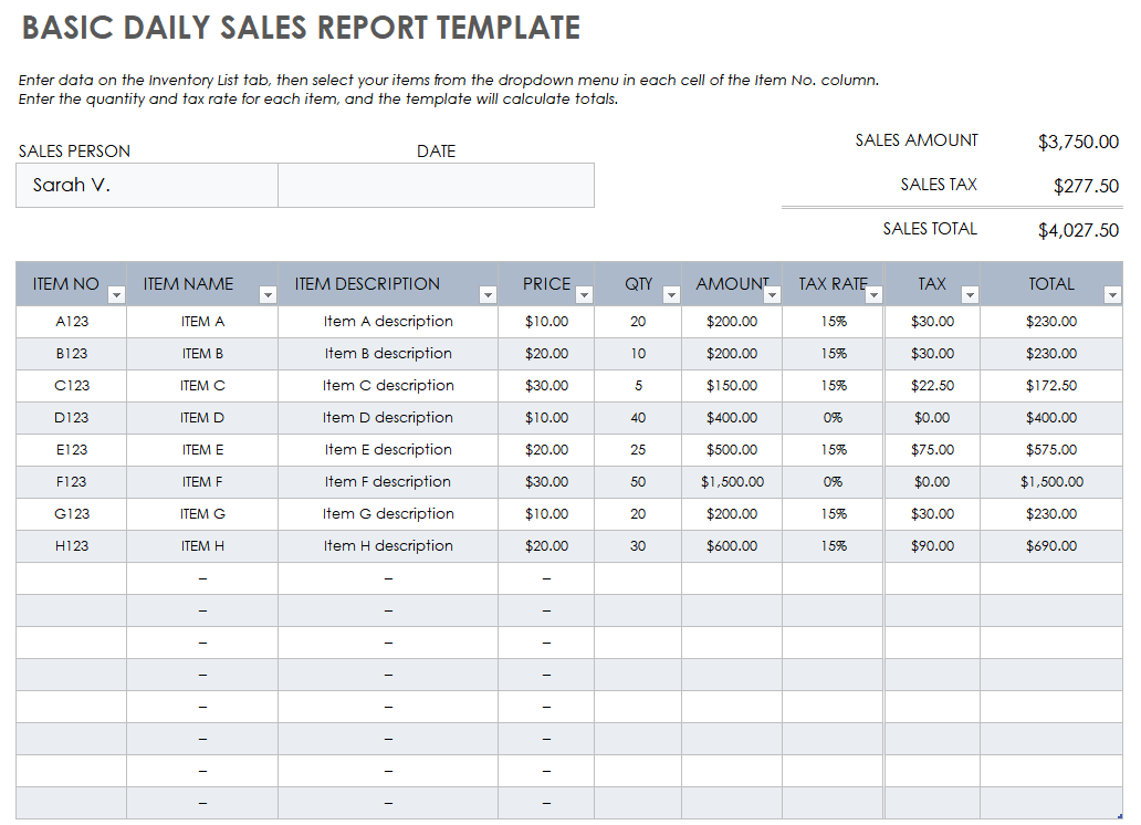 Basic Daily Sales Report Template