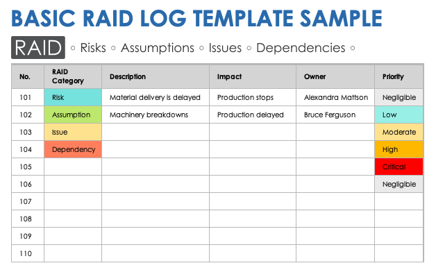 Sample Basic RAID Log Template