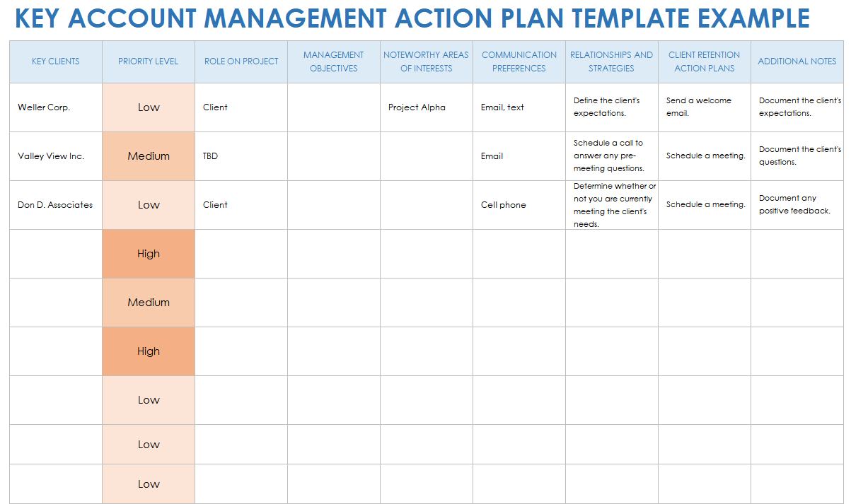 Example Key Account Management Action Plan Template
