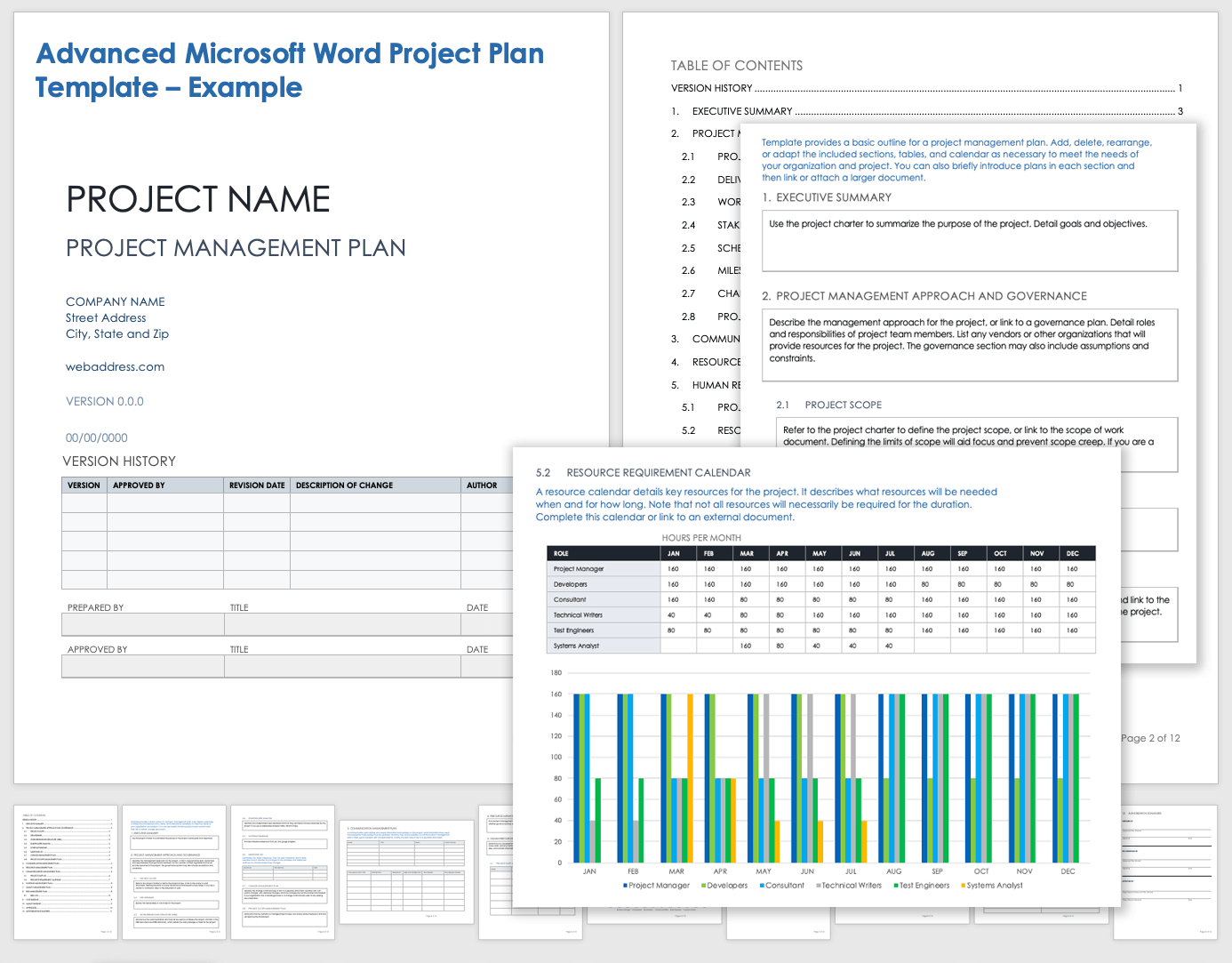 Advanced Project Plan Template With Example Data for Microsoft Word