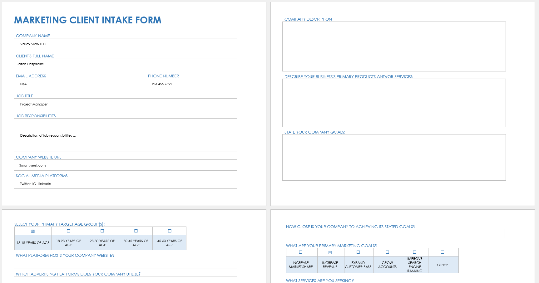 Marketing Client Intake Form Template