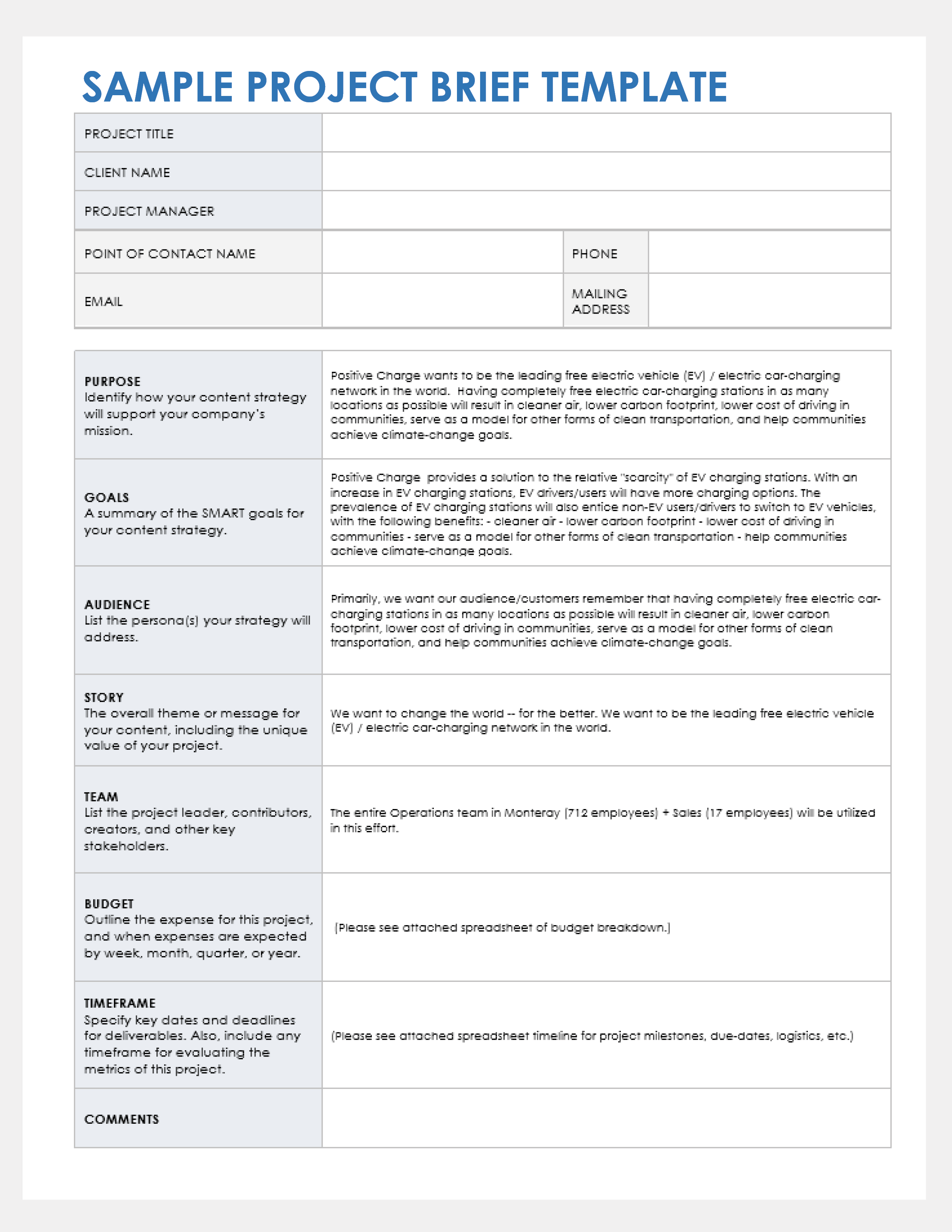 Project Brief Sample Template