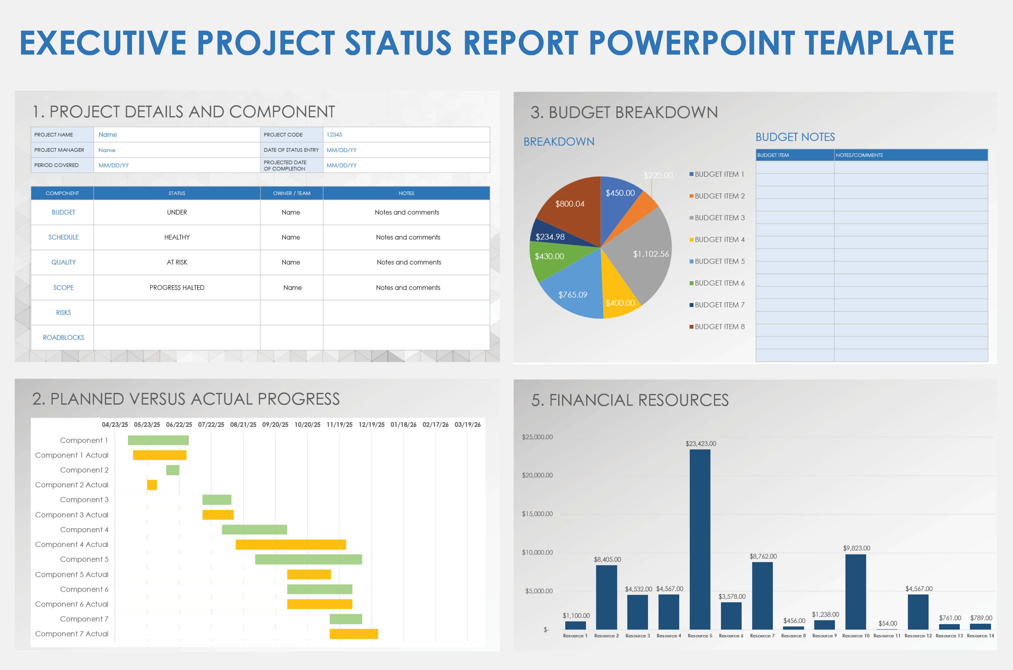 Executive Project Status Report PowerPoint Template