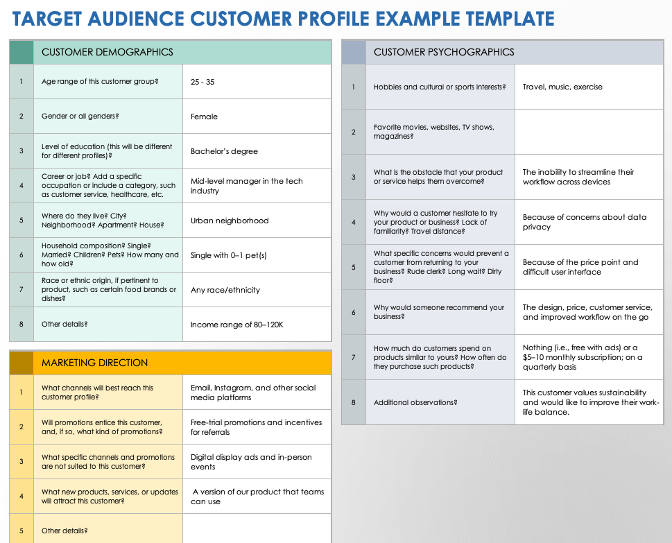 Target Audience Customer Profile Example Template