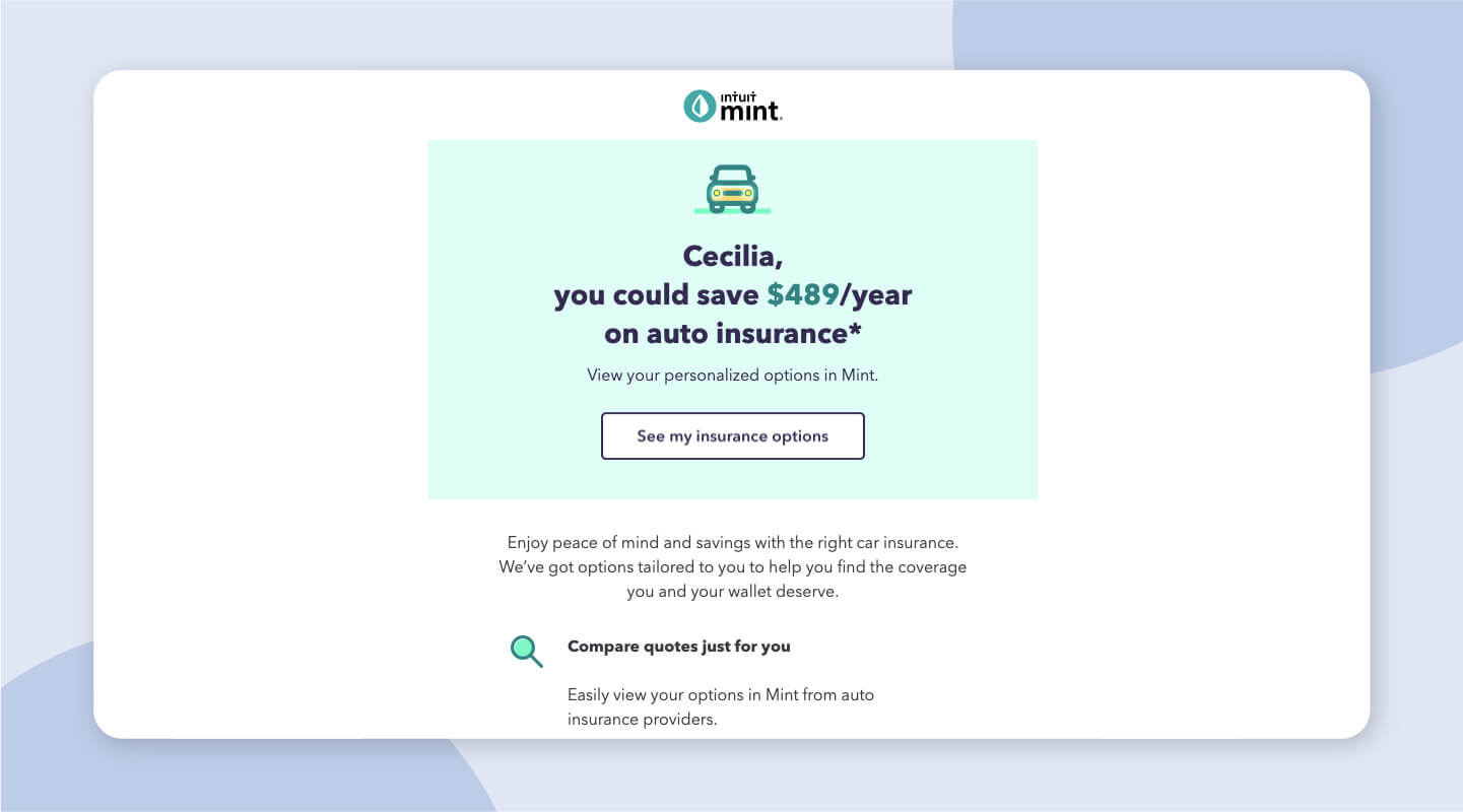 Mint email campaign example