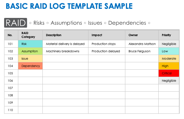 Sample Basic RAID Log Template