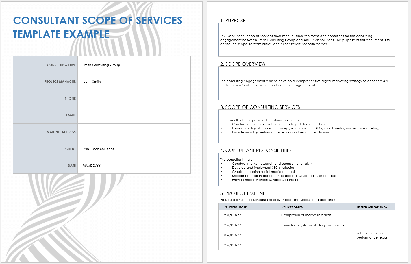 Consultant Scope of Services Example Template
