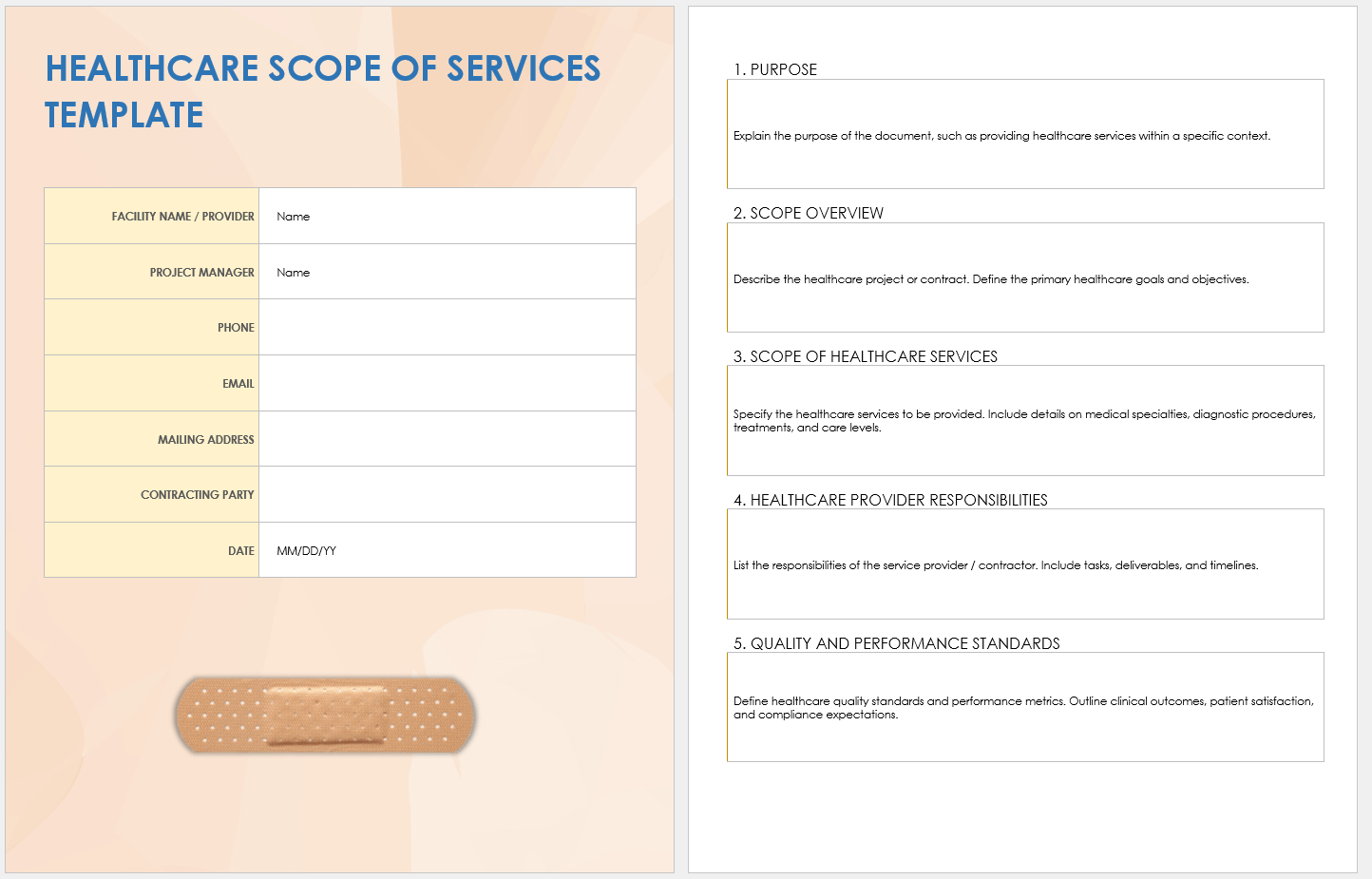 Healthcare Scope of Services Template