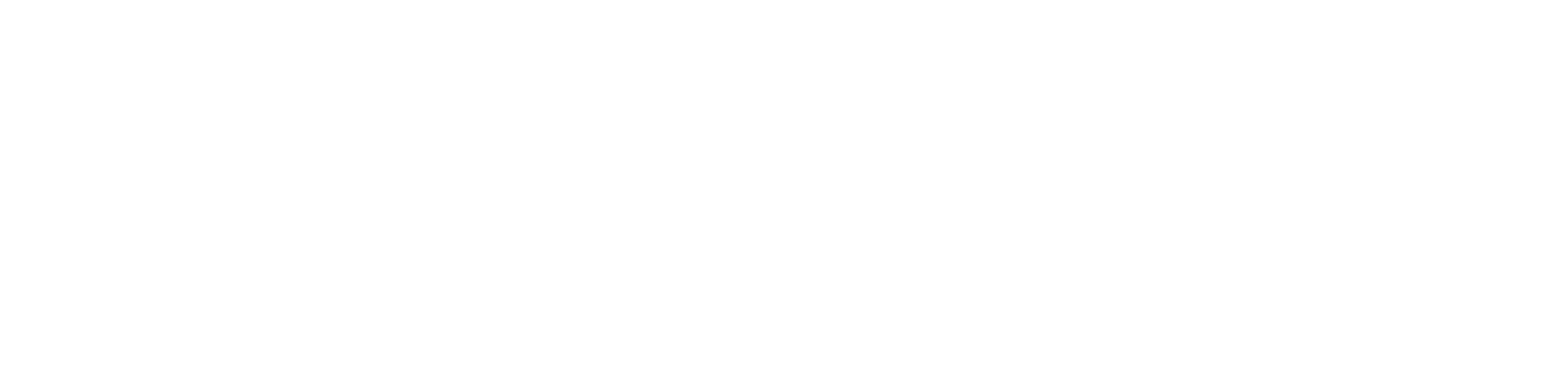 Access Cmyk logo