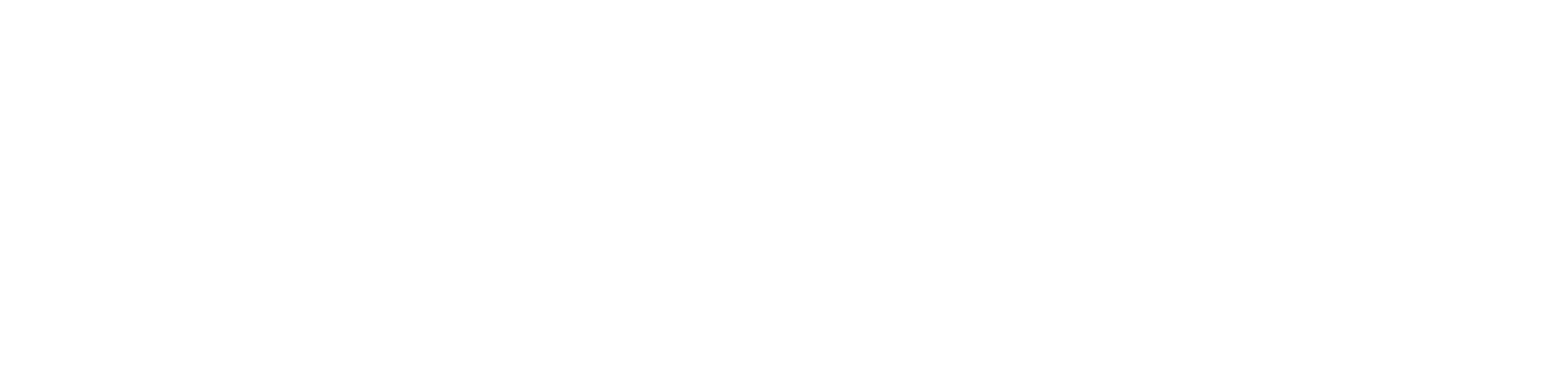 Republic Elite Horizontal logo