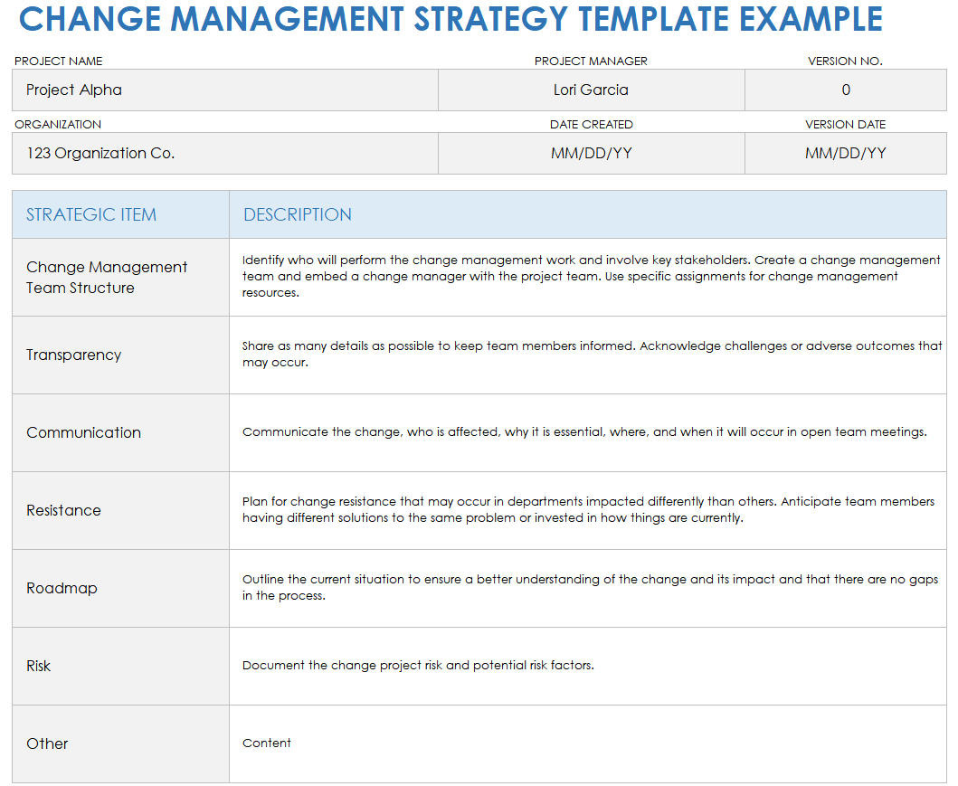 Change Management Strategy Example Template