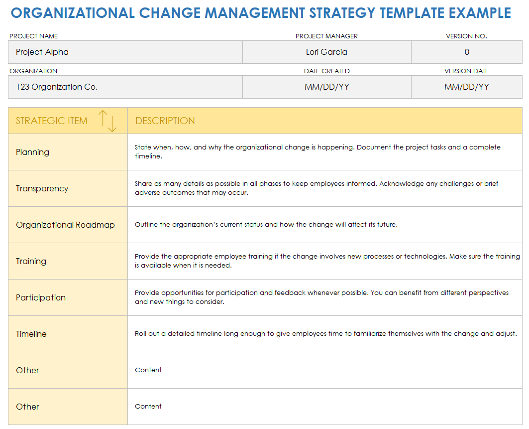 Organizational Change Management Strategy Example Template