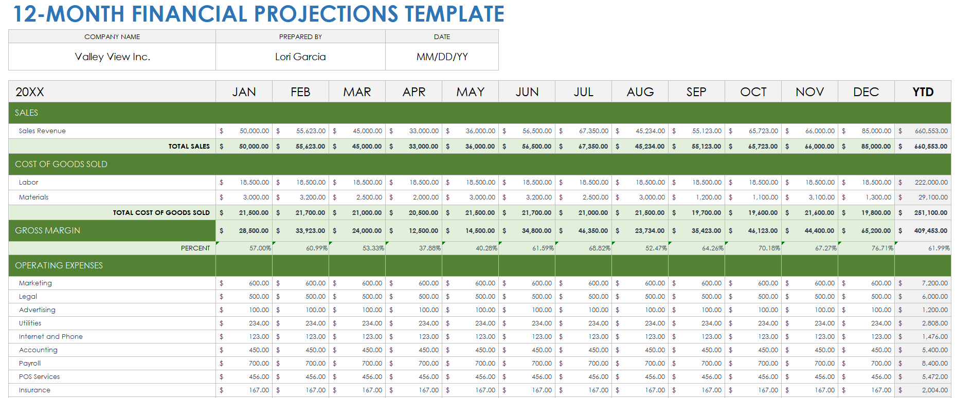 12-Month Financial Projection Example Template