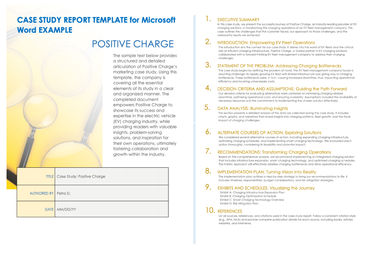 Case Study Report Example Template for Microsoft Word