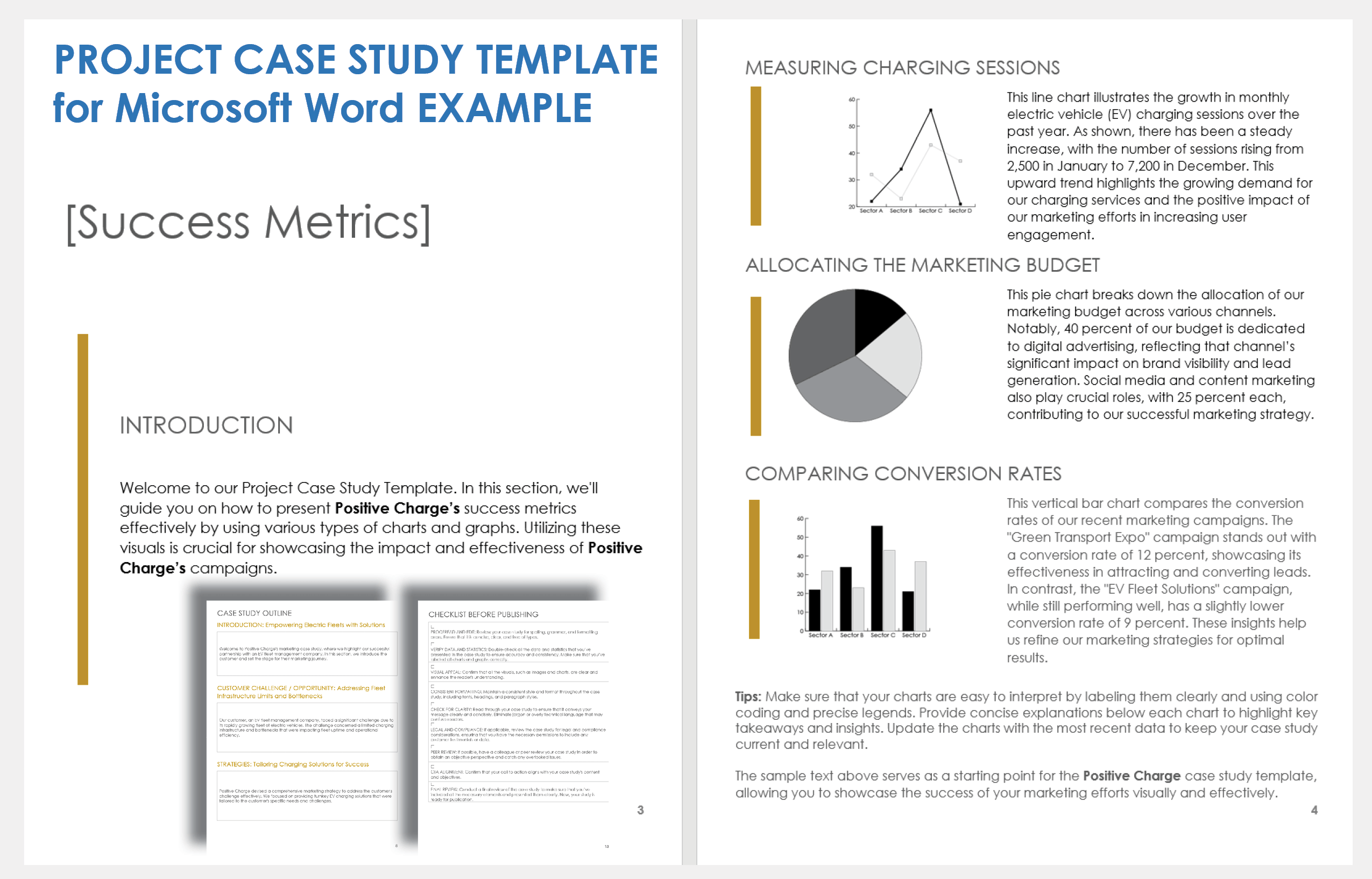 Project Case Study Template for Microsoft Word