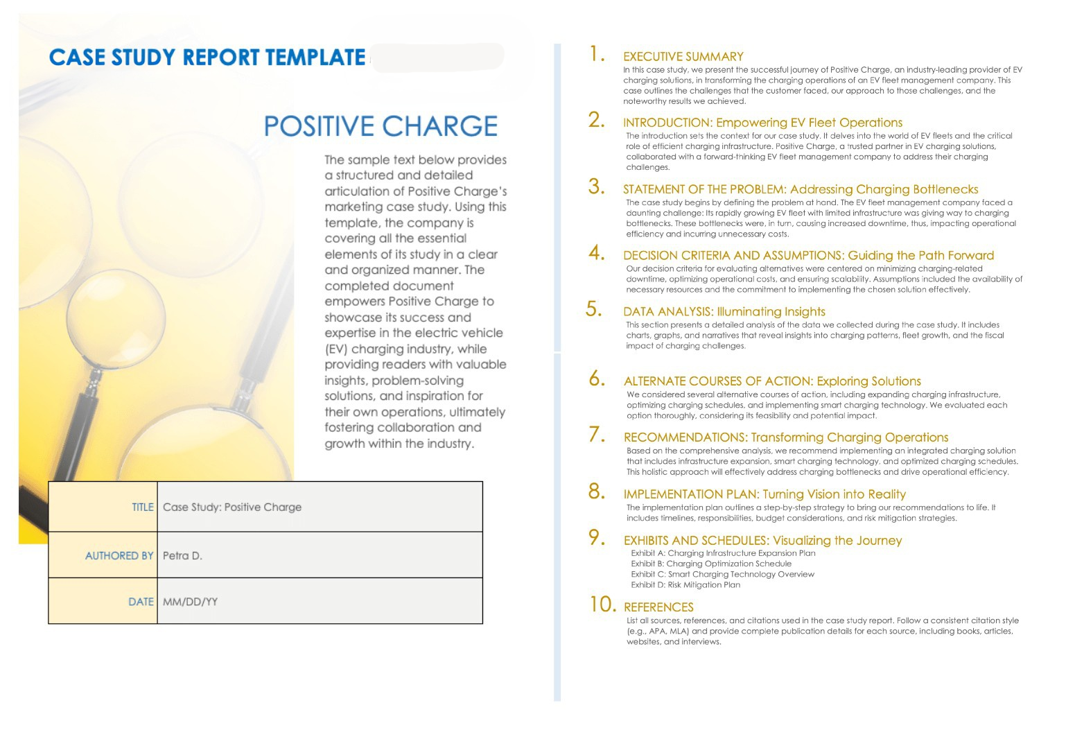 Case Study Report Example Template