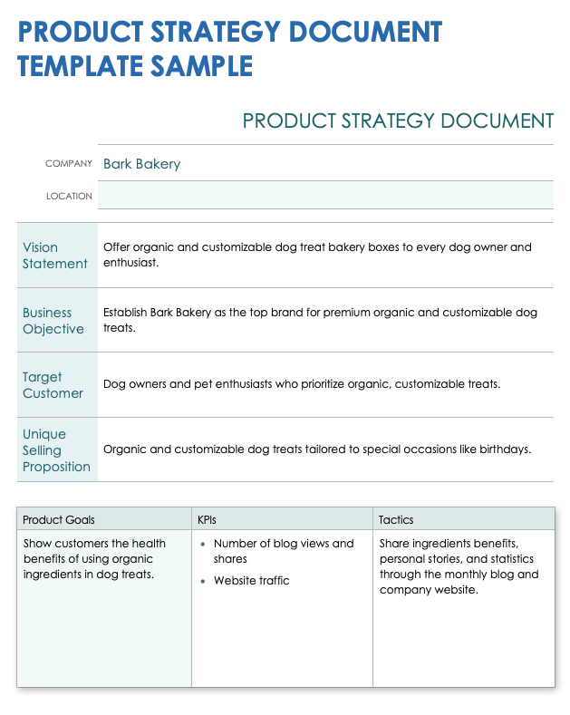 Product Strategy Document Sample Template