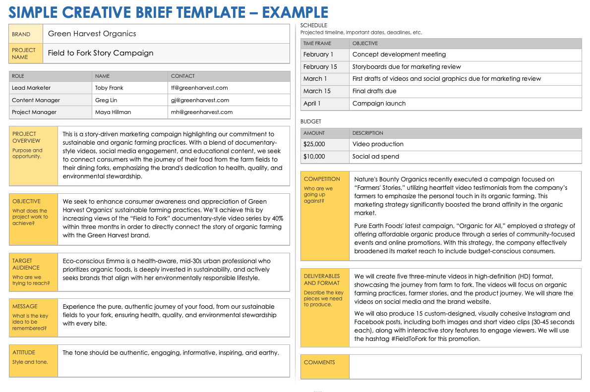 Simple Creative Brief Example Template