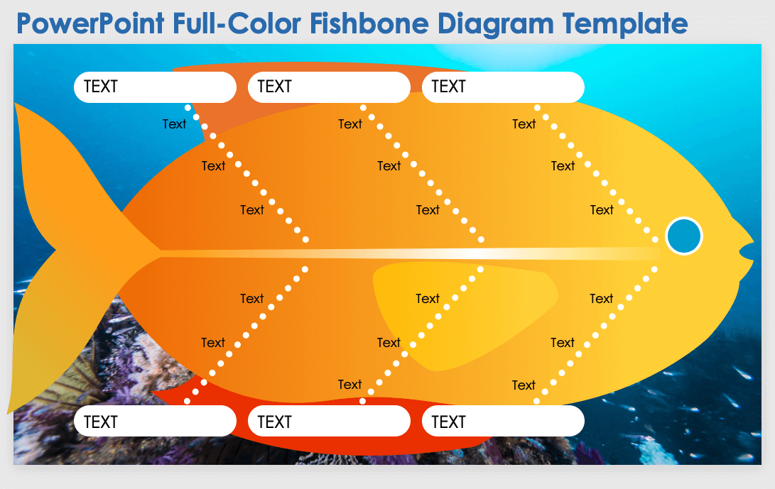 Full Color Fishbone Diagram Template
