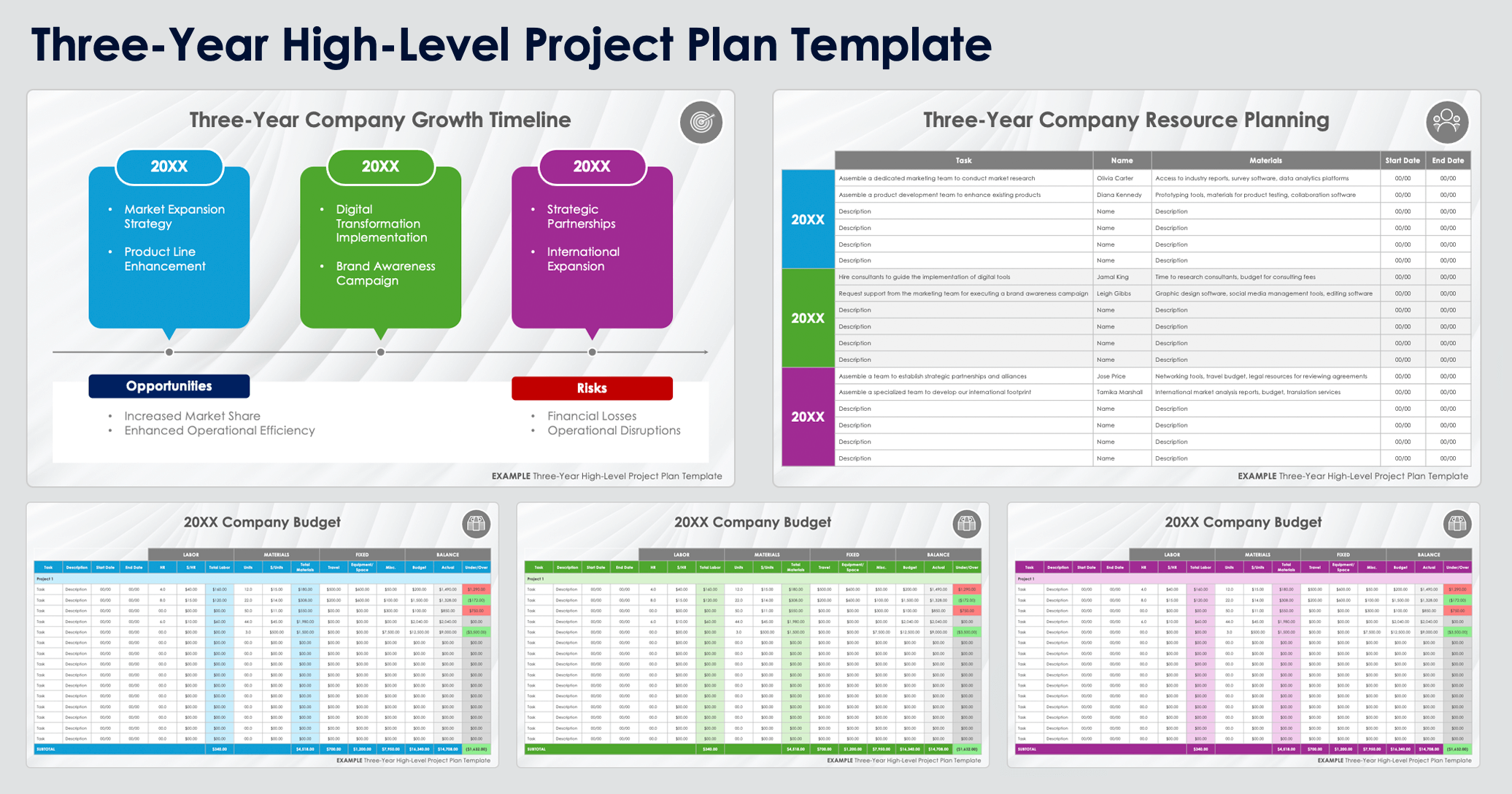 Three Year High Level Project Plan Template