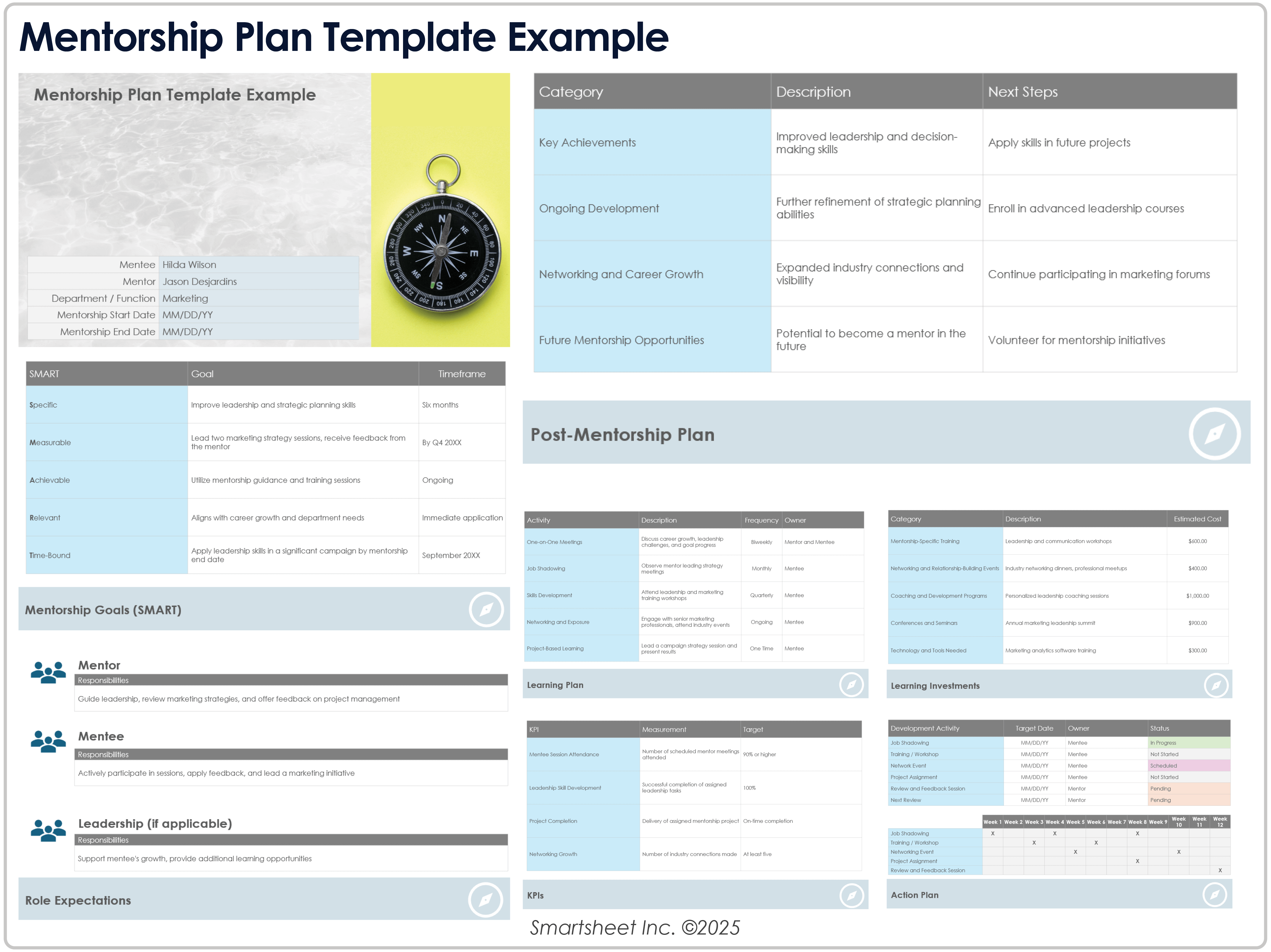 Mentorship Plan Template Example