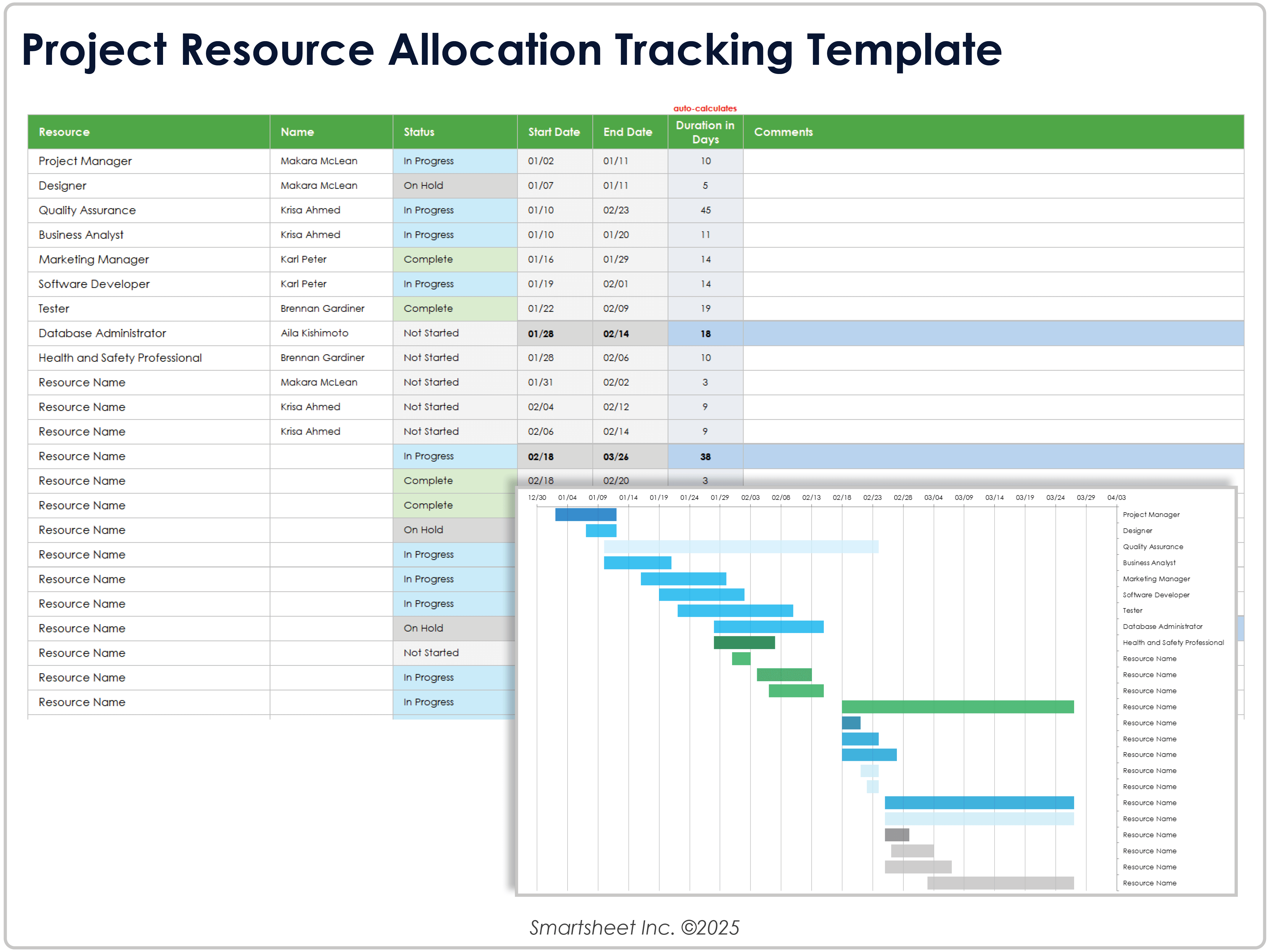 Project Resource Allocation Tracking Template
