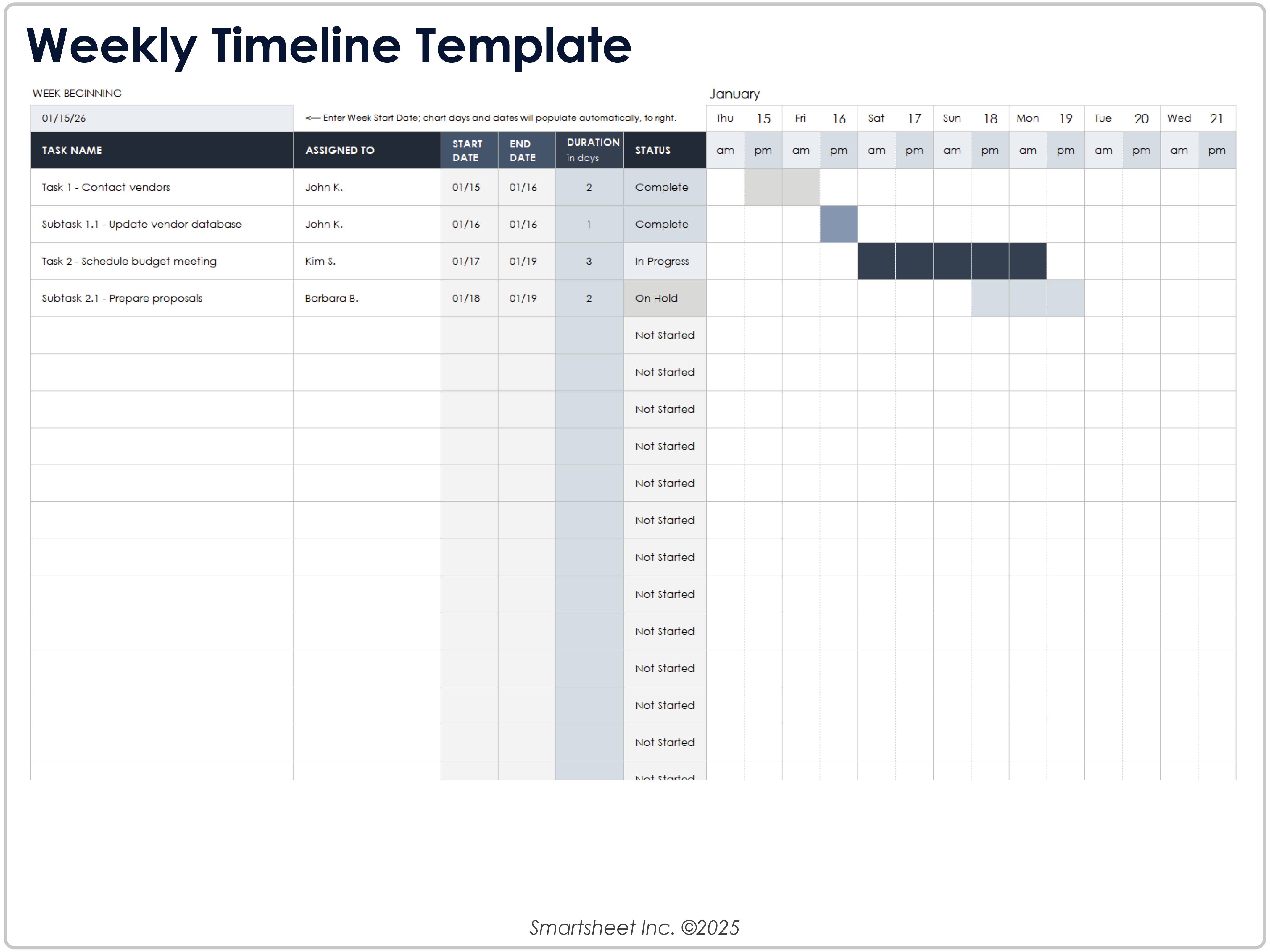 Weekly Project Timeline