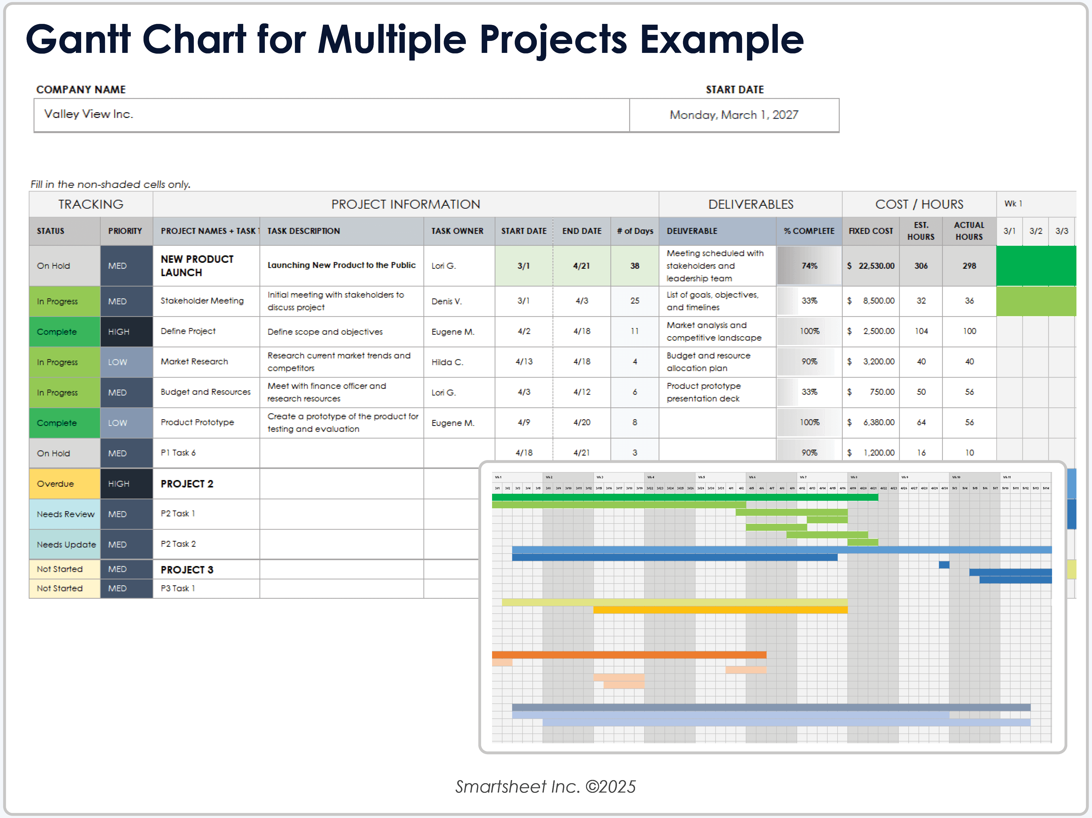 Gantt Chart Template for Multiple Projects Example