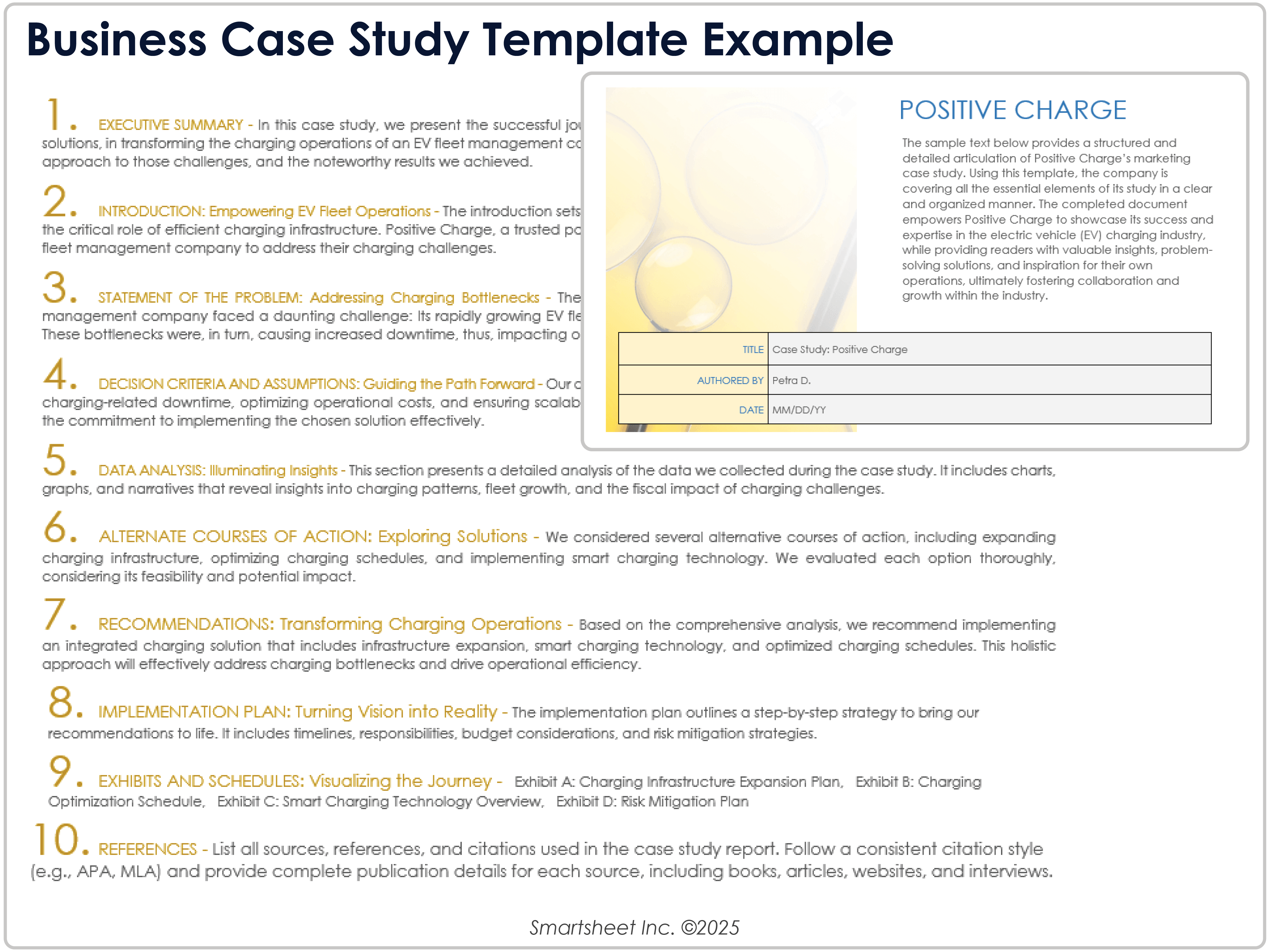 Business Case Study Template Example