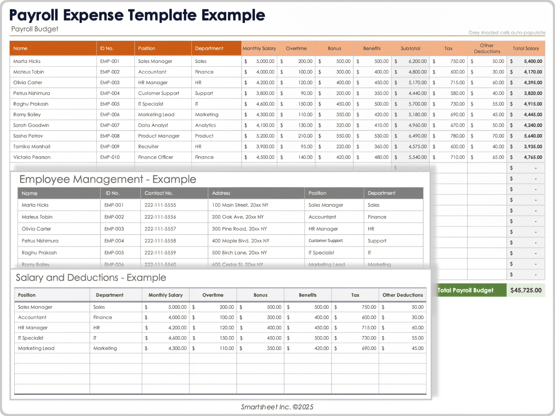 Payroll Expense Template Example
