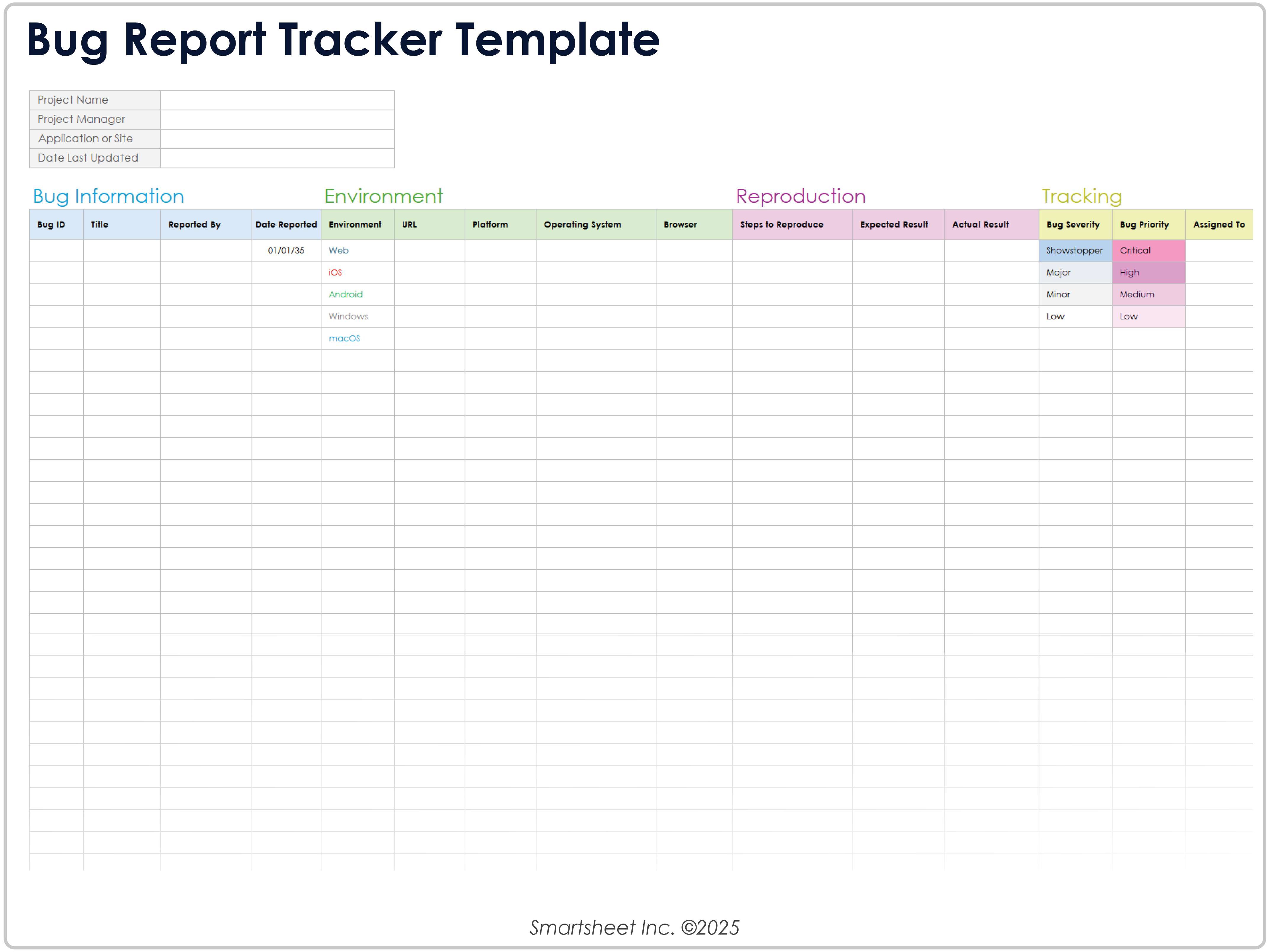 Bug Report Tracker Template