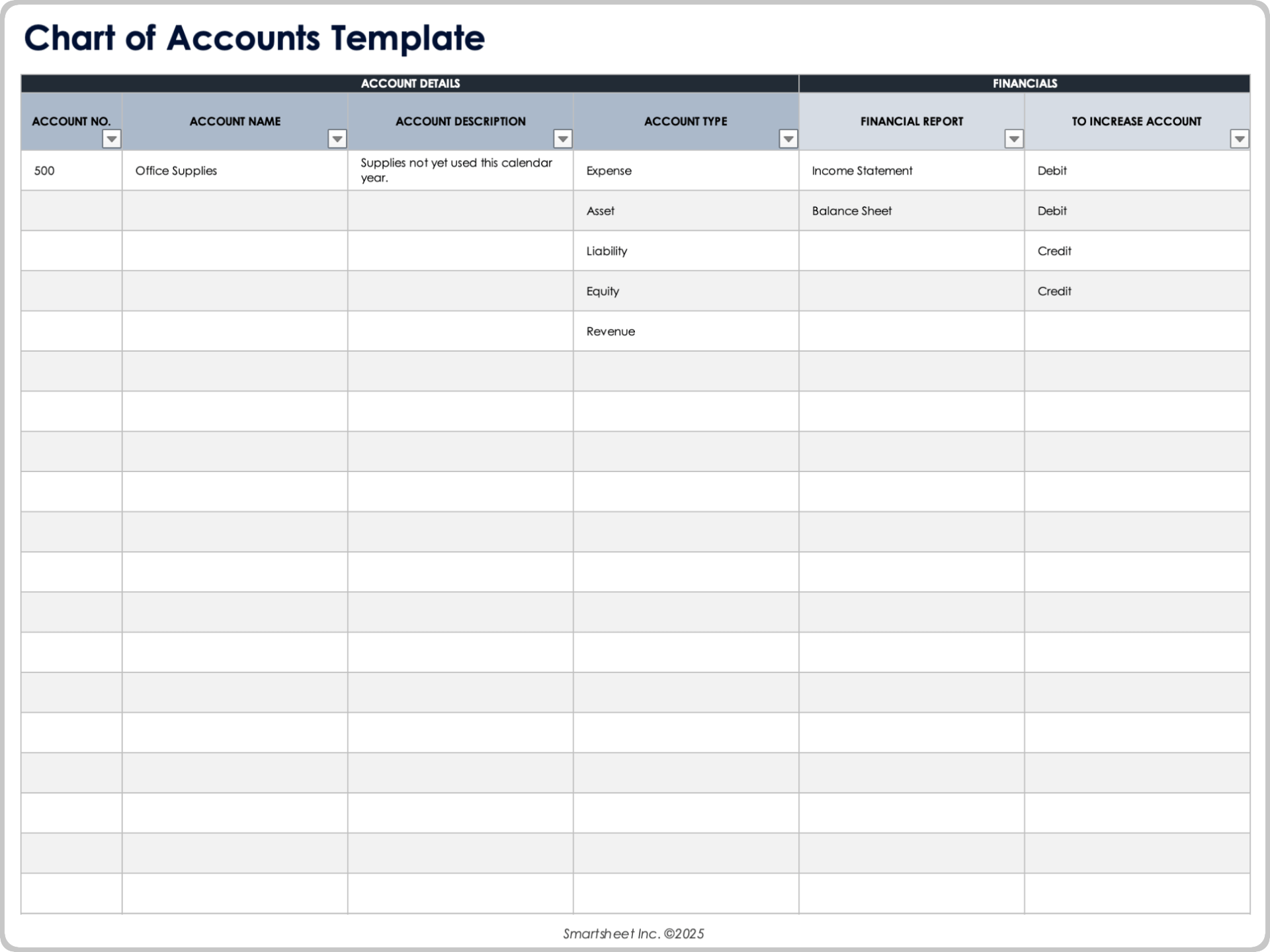 Chart of Accounts Template